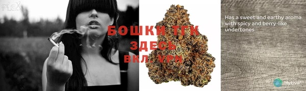 мяу мяу кристалл Нягань