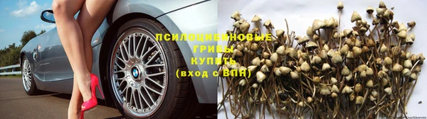 соль ск Нязепетровск