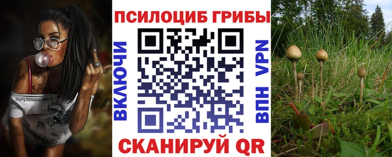 Псилоцибиновые грибы Cubensis  Ужур 